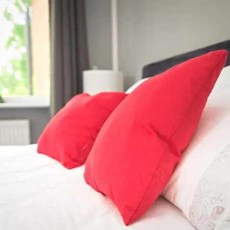 Bernardo Lux * カルパッチ