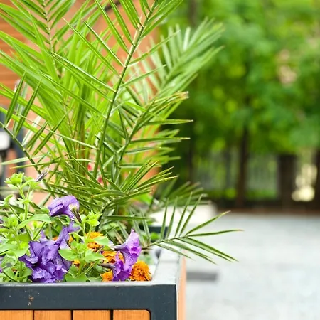 Bernardo Lux Apartman *