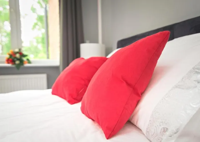 Bernardo Lux * カルパッチ