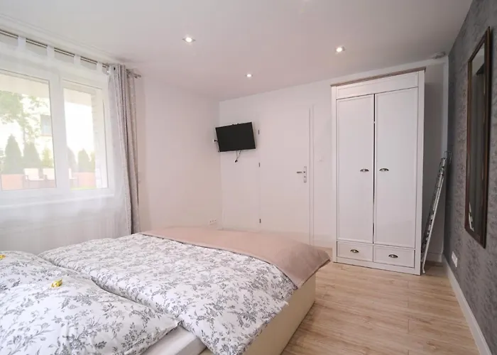 Bernardo Lux カルパッチ