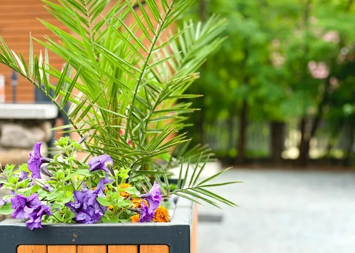 Bernardo Lux アパート *