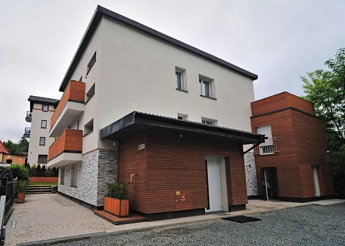 Bernardo Lux * カルパッチ